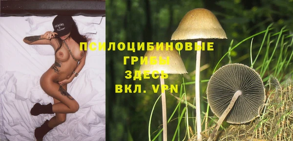 гидра Алзамай