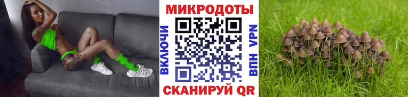 Псилоцибиновые грибы Psilocybine cubensis  Шумерля 